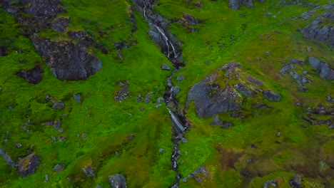 top down aerial drone footage of a narrow cold water stream or a river flowing in the middle of green mossy landscape and cliffs in lofoten norway during a cloudy day. rocks are covered with moss.