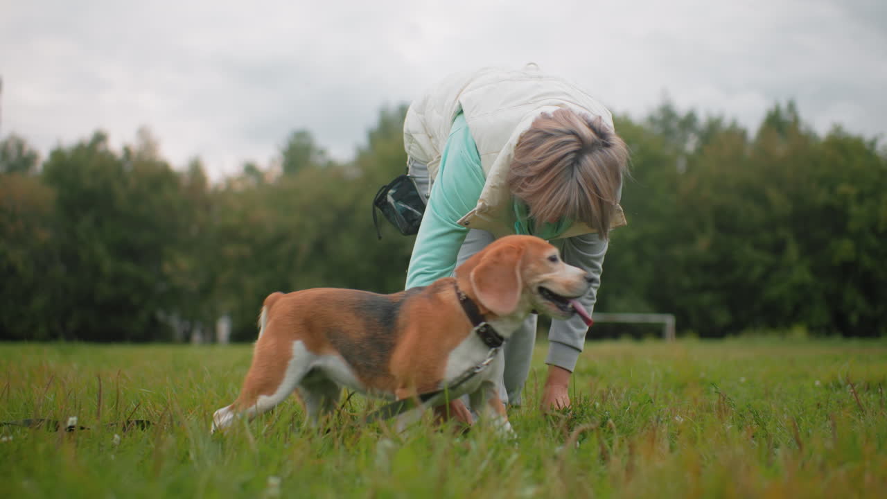 Female canine specialist in mint hoodie and puffy vest bending to adjust footwear after training, as playful golden retriever runs up joyfully reaching for her hair in friendly excitement