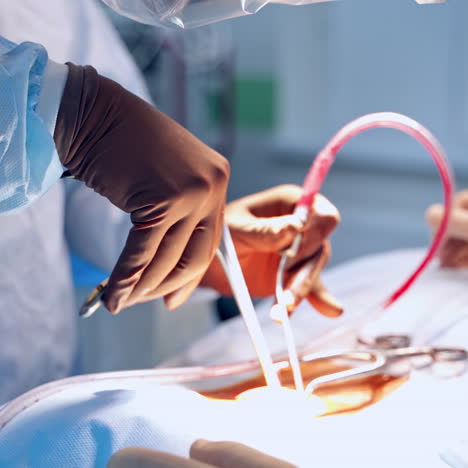 close-up medical operating process indoors. doctor's hands with medical instruments doing a surgery in the operating room. healthcare concept.