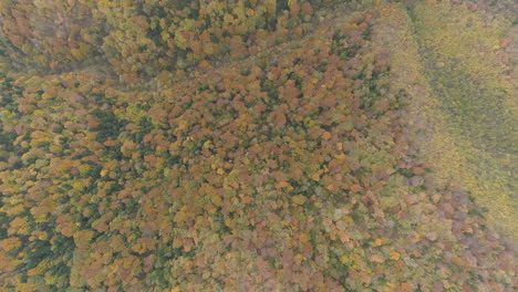 Imágenes-Aéreas,-Bosques-De-La-Península-De-Los-Balcanes-Durante-El-Período-De-Otoño