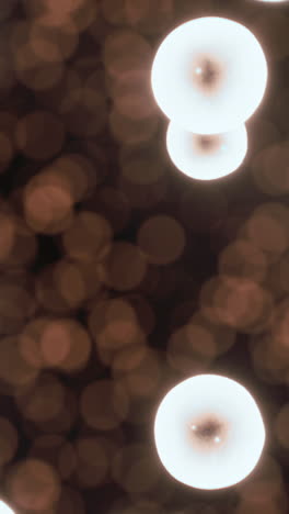 soft glowing orbs create a magical atmosphere in an evening setting