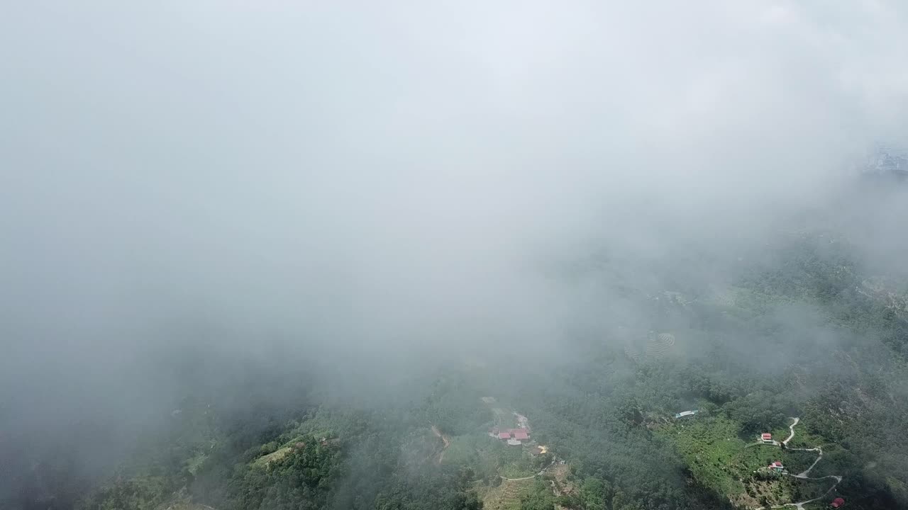 페 언덕 근처의 초록색 플랜테이션과 함께 ayer itam의 언덕 인근의 안개.