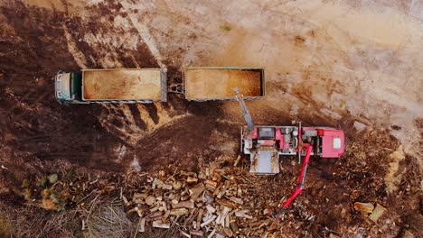 static top-down drone shot of wood chipping and loading onto transport trucks