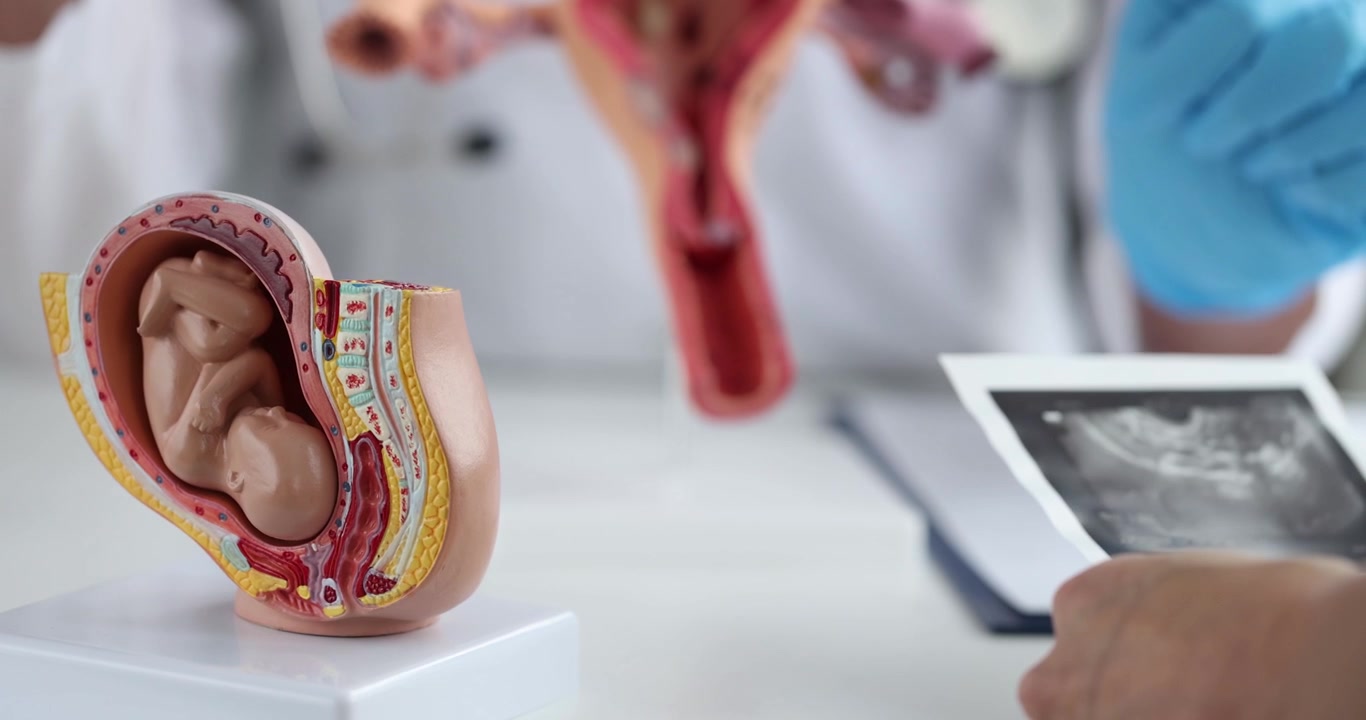 Woman strokes ultrasound picture by fetus in gynecologist office