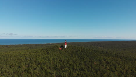 red and white lighthouse in the forest