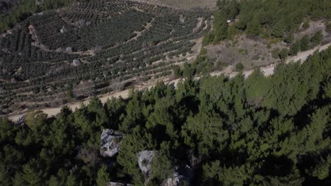 Acceso-Aéreo-Remoto-Al-Olivar-En-El-Bosque