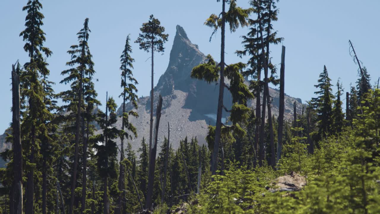 inclinarse hacia abajo desde la montaña puntiaguda hasta el bosque verde
