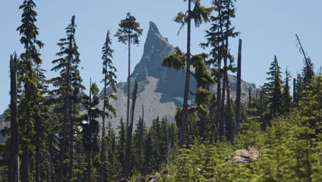 tilt down from pointed mountain to green forrest