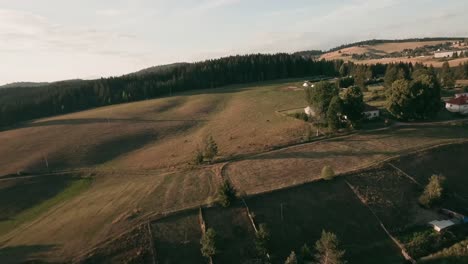 Immerse-yourself-in-an-exhilarating-FPV-drone-flight,-capturing-the-untamed-beauty-of-Hucul-ponies-in-Central-Slovakia's-rustic-countryside