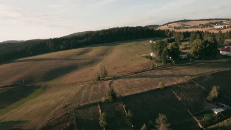 immerse yourself in an exhilarating fpv drone flight, capturing the untamed beauty of hucul ponies in central slovakia's rustic countryside
