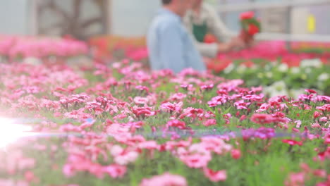 animation of light spots over two caucasian male workers in garden