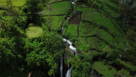 Drone-Aéreo-Inclinado-Hacia-Abajo-Cautivadora-Vista-De-La-Cascada-Twin-Arum-Y-La-Serena-Piscina-Debajo,-Rodeada-De-Exuberante-Vegetación