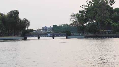 peaceful lake scene with trees and bridge