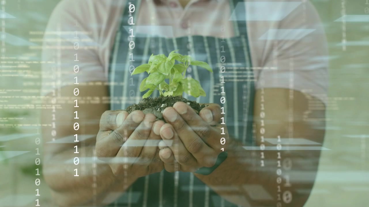 Gardener holding seedling frames starting and projecting code overlays revealing agtech growth data