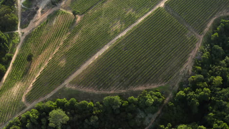 Antenne:-Beau-Constantia-Kapstadt-Sonnenuntergang