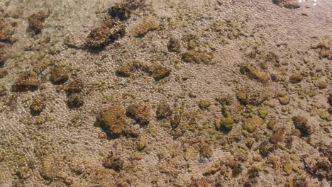 Blick-Auf-Meereswellen,-Felsen-Und-Sand.-Meeresufer-Wasserhintergrund