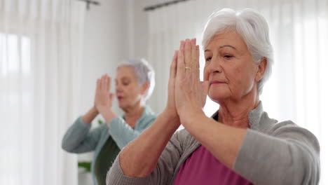 Senior-women,-yoga-and-class-with-friends