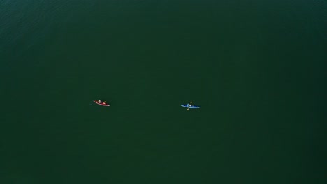 remando en la bahía en competiciones de kayak en un día soleado