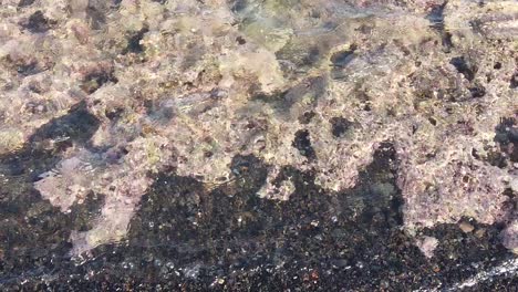 Hand-Held-Shot-Above-Dead-Coral-in-the-Sea-Water-of-Volcanic-Black-Sand-of-Bali-Indonesia