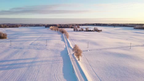 Frosted-Tree-Tops-Near-Empty-Snow-Covered-Road,-Golden-Hour-on-Winter-Day