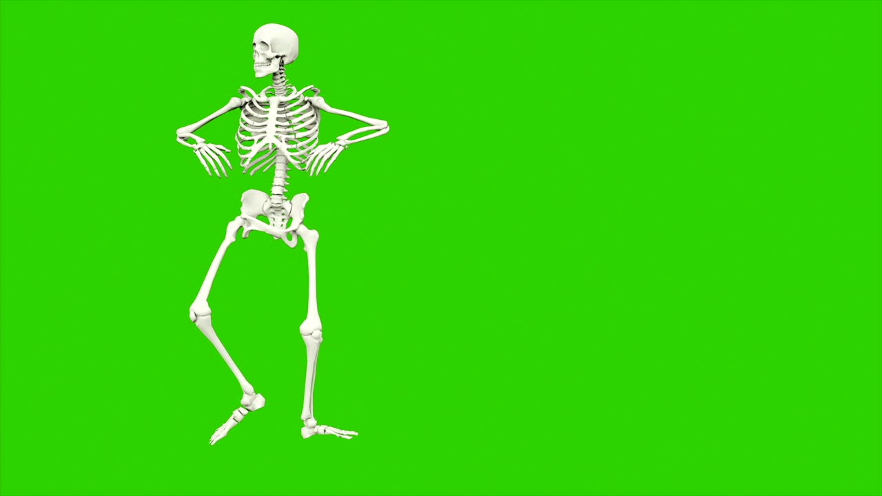 danza dello scheletro. animazione a loop senza soluzione di continuità sullo schermo verde.
