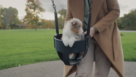 the owner rides a small puppy on a swing in the park. having fun with your pet