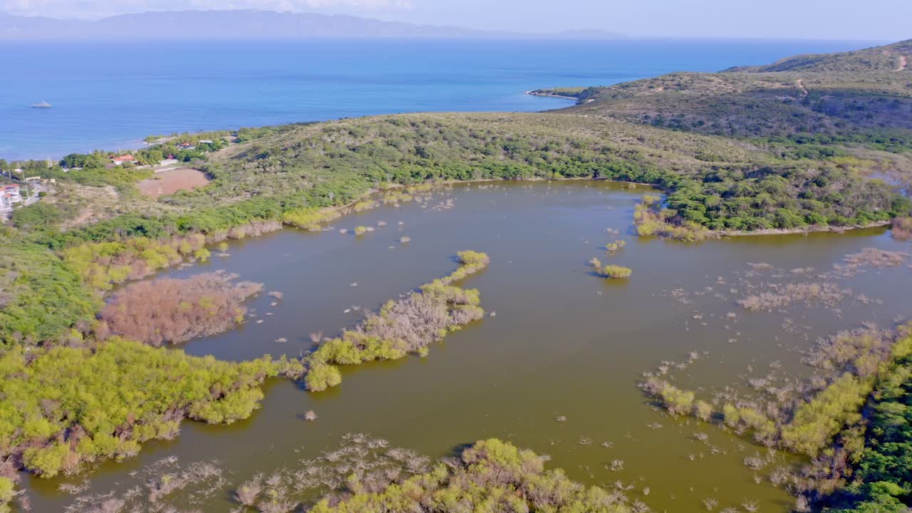 вид с воздуха на затопленное поле мангровых зарослей и атлантический океан на заднем плане после сильного дождя на доминиканской республике