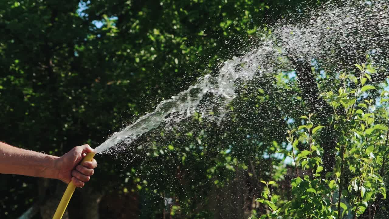 Pure running water flows out of the rubber hose when watering the lawn. Slow motion.