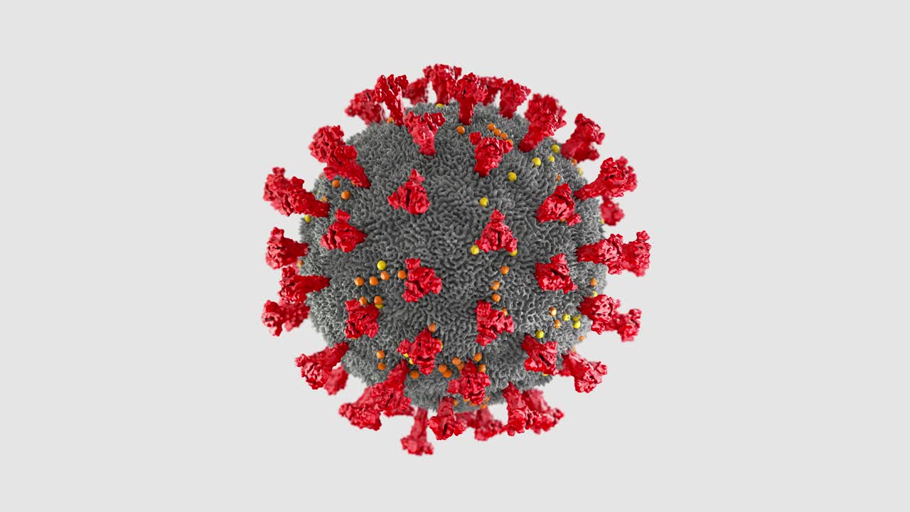 animación interminable de un virus corona envuelto en rotación en gris y sus diferentes proteínas en rojo, amarillo y naranja - ilustración 3d