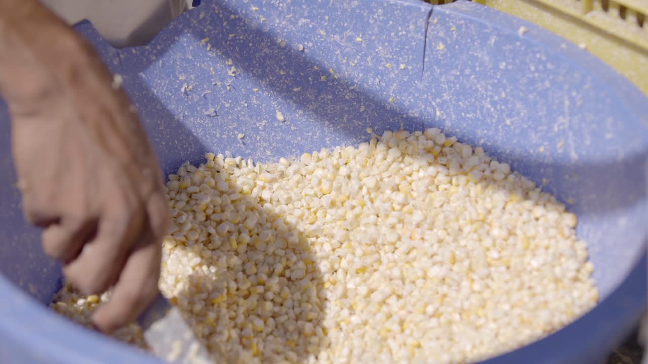 전형적인 베네수엘라 음식의 성분