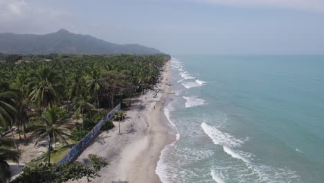 vista aérea de la playa de palomino y los palmerales, colombia