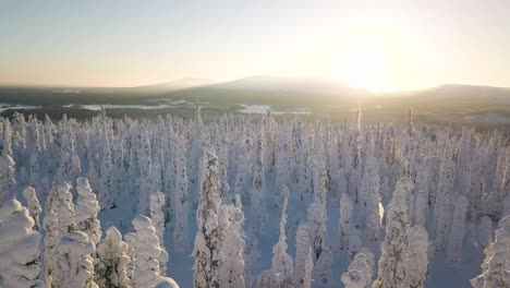 Luftaufnahmen-Vom-Flug-Zwischen-Wunderschönen-Verschneiten-Bäumen-Mitten-In-Der-Wildnis-In-Lappland,-Finnland