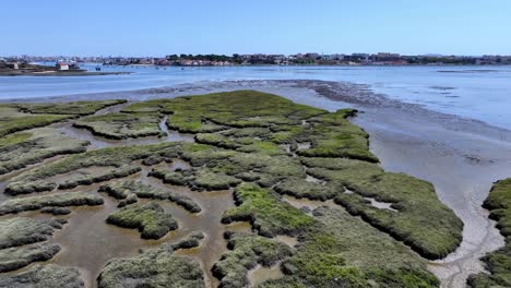 Disparo-De-Un-Dron-Volando-Sobre-Una-Isla-De-Pájaros-En-Una-Bahía-Desde-El-Río-Al-Sur-De-Lisboa