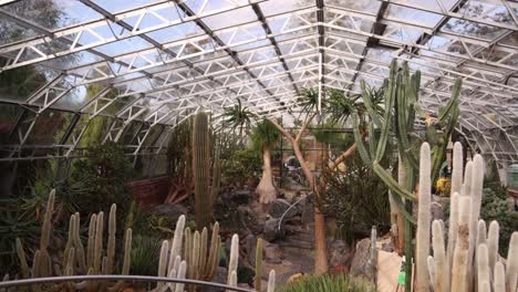 interior of tropical green house at the botanic gardens in inverness, scotland in the highlands