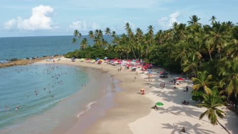 left trucking aerial drone shot of the famous tourist destination coqueirinhos beach in paraiba, brazil surrounded by palm trees with people swimming and enjoying the shade under colorful umbrellas