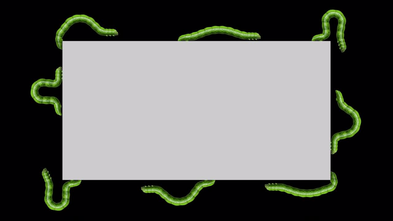 회색 직사각형의 애벌레, 루핑 3d 애니메이션