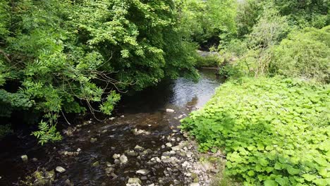 Waldflussszene,-Gefilmt-Im-Derbishire-Peak-District,-Drohnenaufnahmen-Von-Oben-Nach-Unten