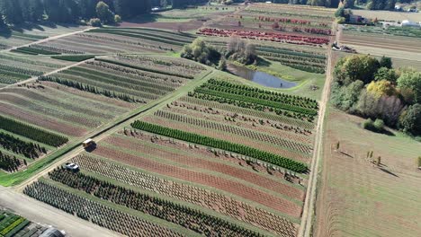 Landwirtschaftliche-Gärtnerei-In-Oregon