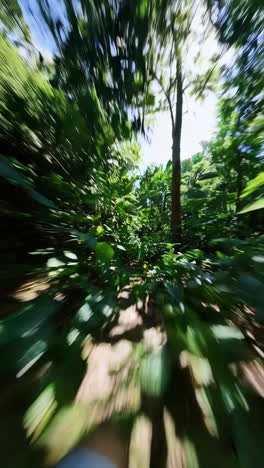 fast-paced jungle path