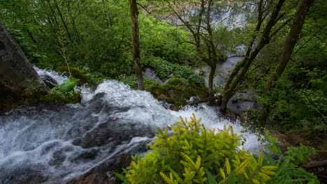 Nationalpark-Plitvicer-Seen-00