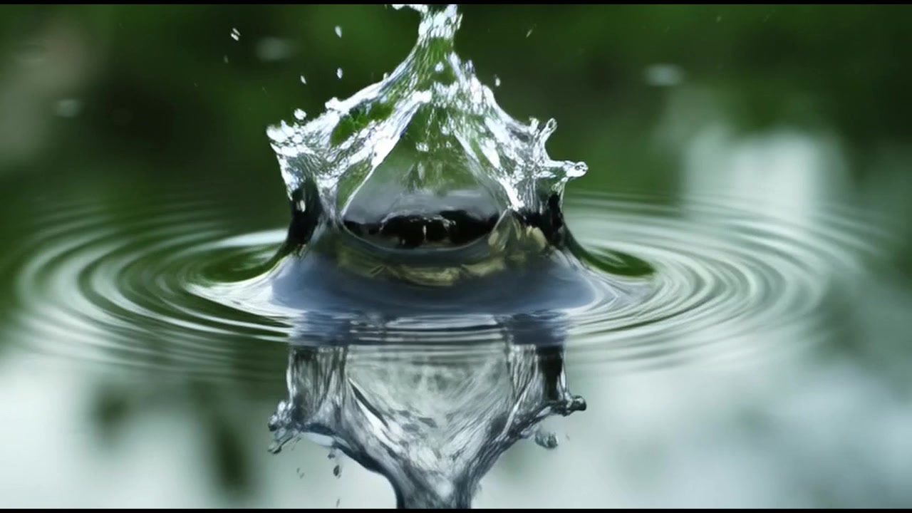 Singola goccia d'acqua che cade in uno stagno calmo creando increspature