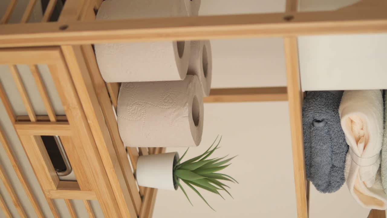 Bathroom shelf with toilet paper, houseplant, and towels
