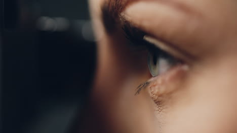 primer plano del ojo de una mujer.