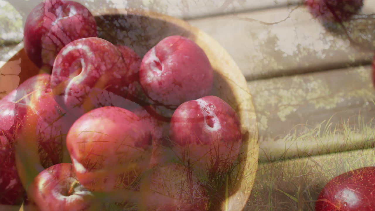 Grassy landscape scene overlaying red apples in wooden bowl, creating animation