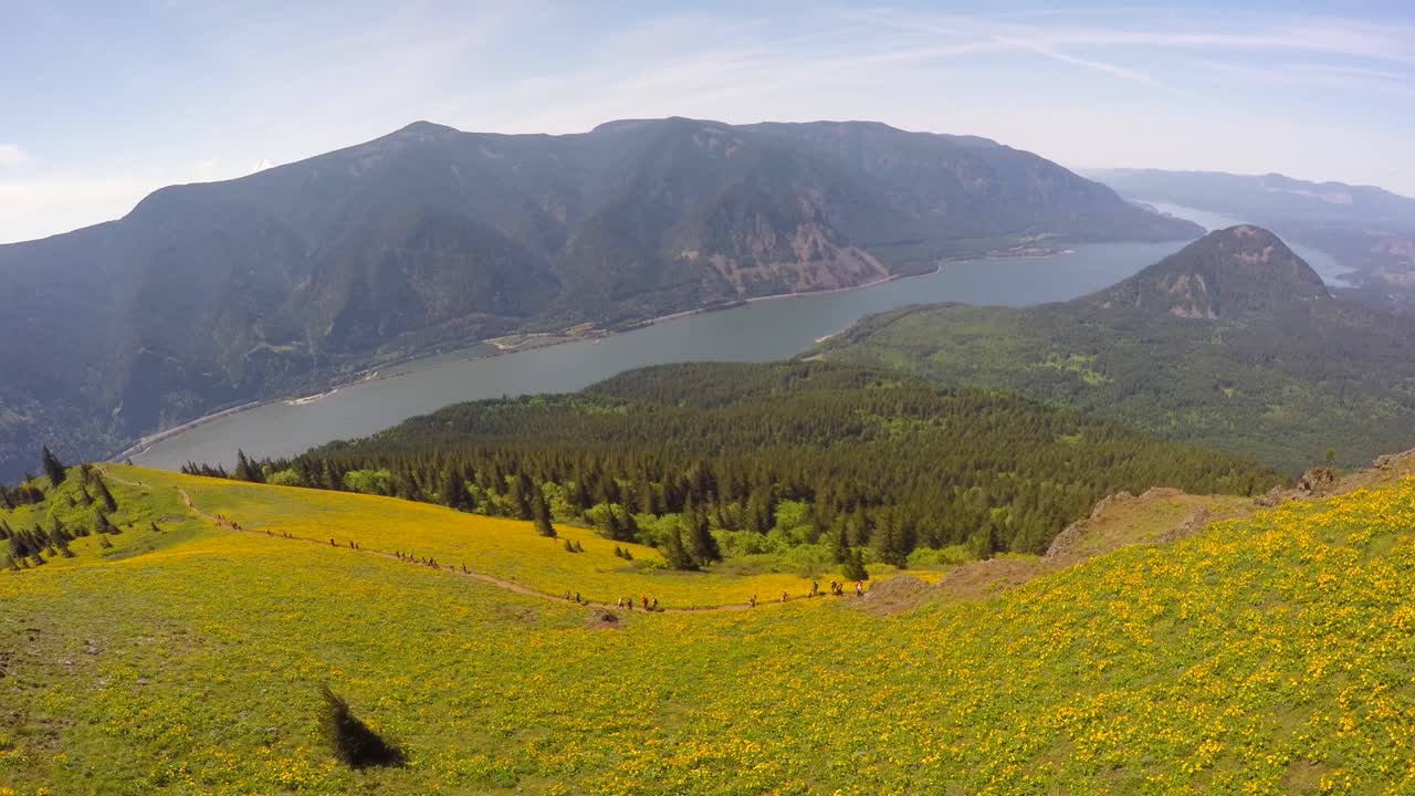 멀리 컬럼비아 강이 있는 태평양 북서쪽의 꽃으로 뒤덮인 언덕을 따라 아름다운 조감도 1