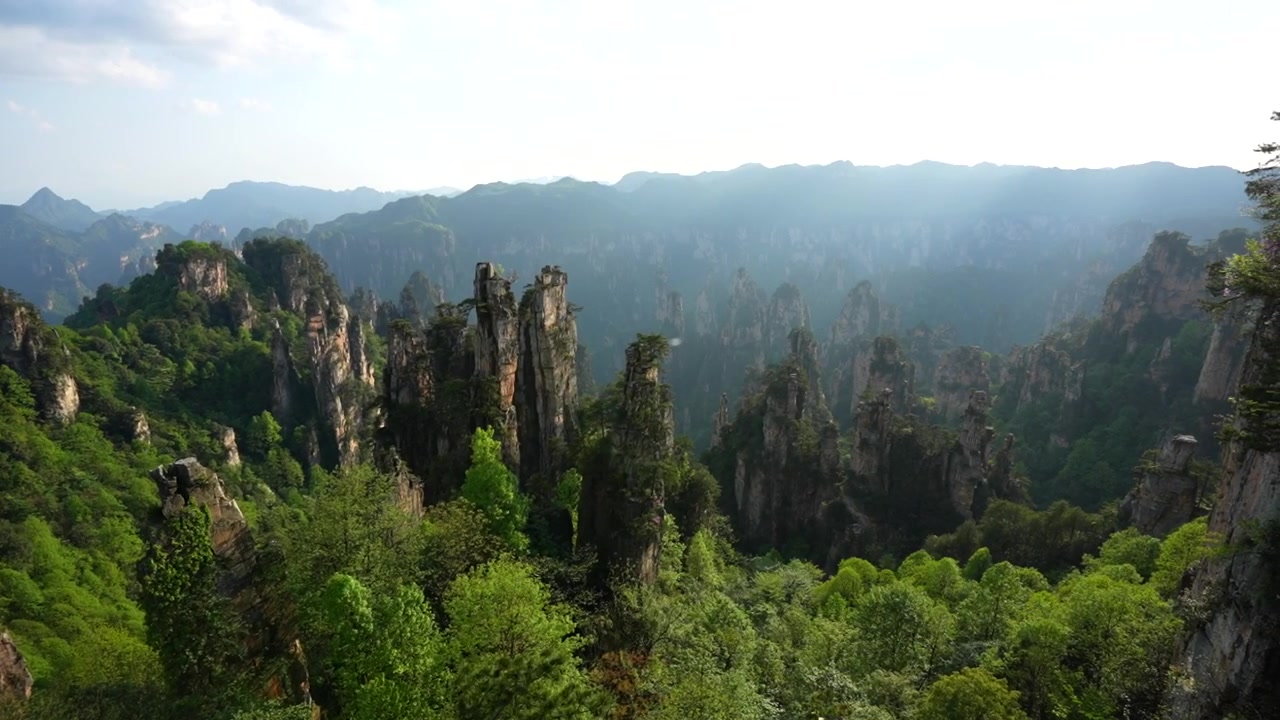 Vista panoramica di alti pilastri di roccia e lussureggiante vegetazione verde sul Monte Tianzi nello Hunan, Cina