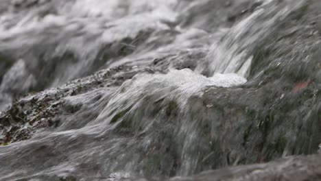 agua que fluye sobre las rocas en un pequeño arroyo