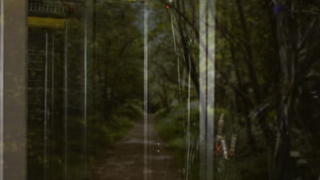 forest path seen through glass door with tree reflections creating animation effect
