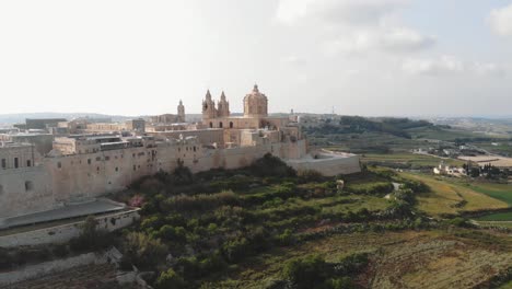 aerial view of mdina skyline, a fortified city in malta