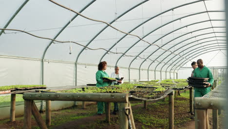 Greenhouse,-agriculture-and-team-of-workers